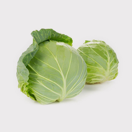 Cabbage Images